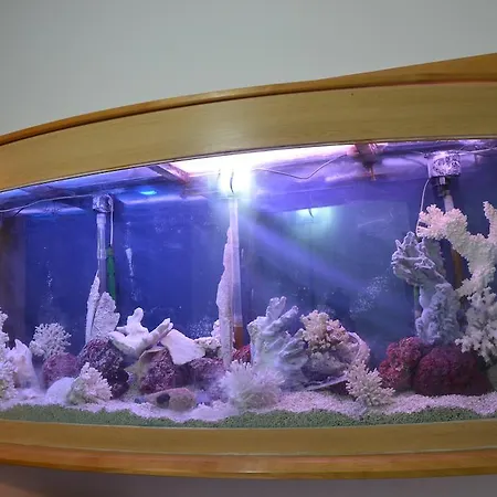 Guest house Mytimerome Rome